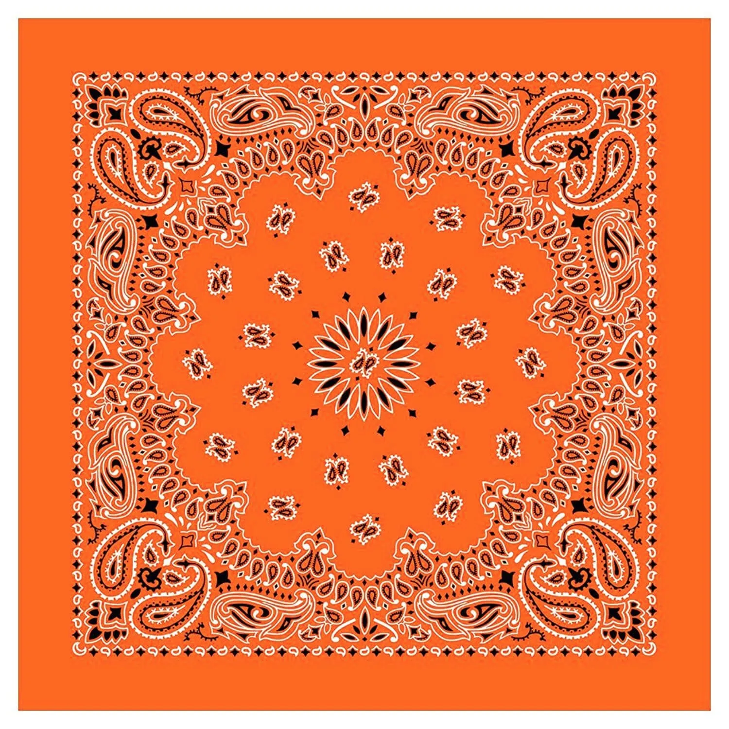 12 Piece Novelty Bandanas Paisley 100% Cotton Hearwear (22 inches x 22 inches)