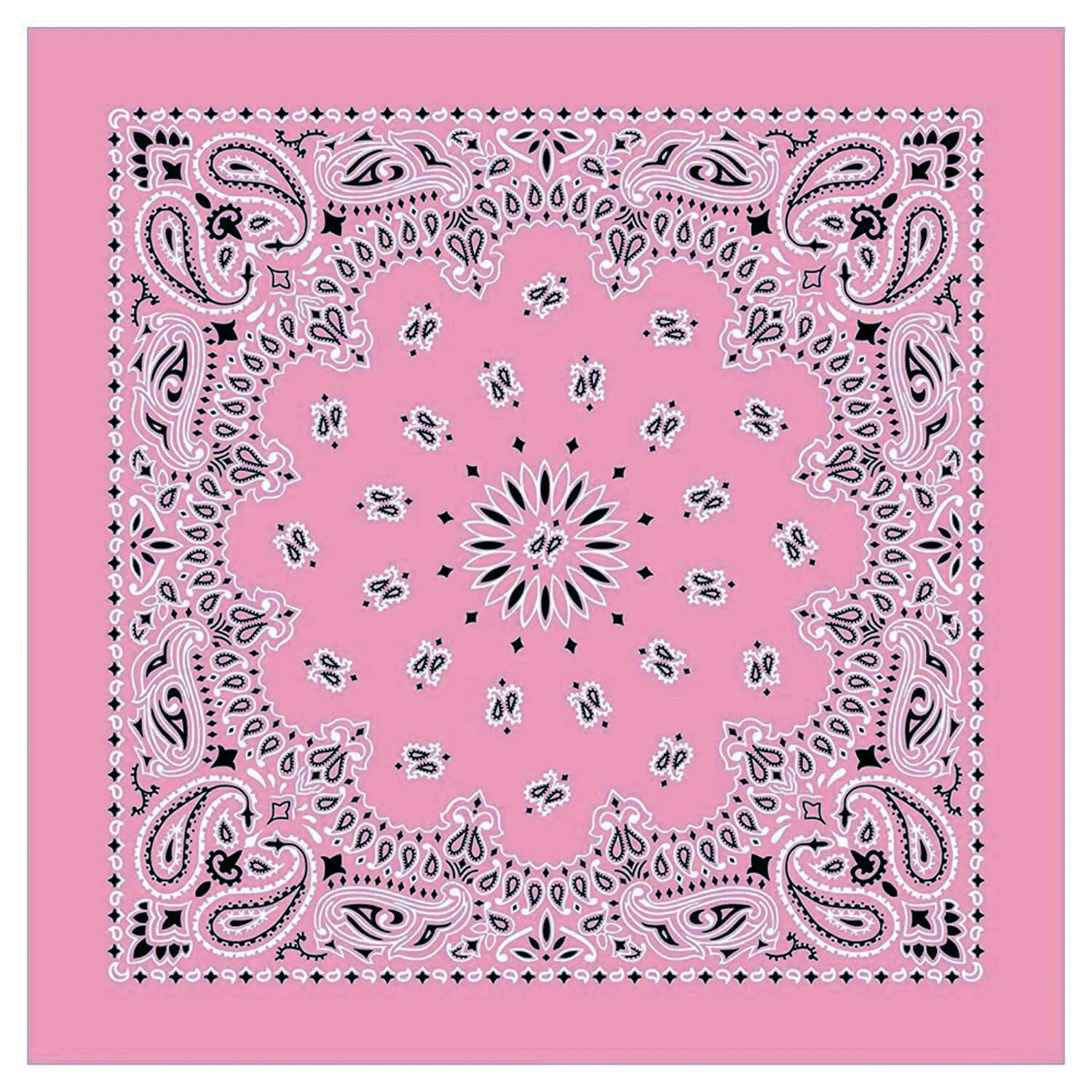 12 Piece Novelty Bandanas Paisley 100% Cotton Hearwear (22 inches x 22 inches)