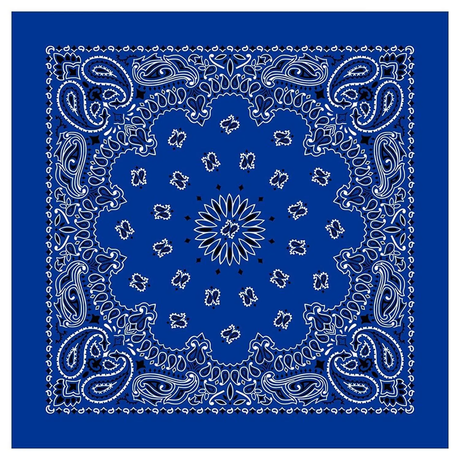 12 Piece Novelty Bandanas Paisley 100% Cotton Hearwear (22 inches x 22 inches)