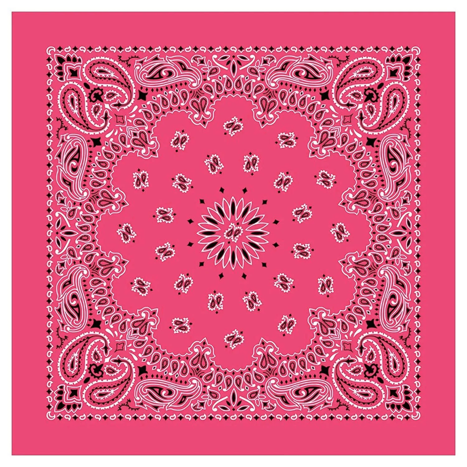 12 Piece Novelty Bandanas Paisley 100% Cotton Hearwear (22 inches x 22 inches)