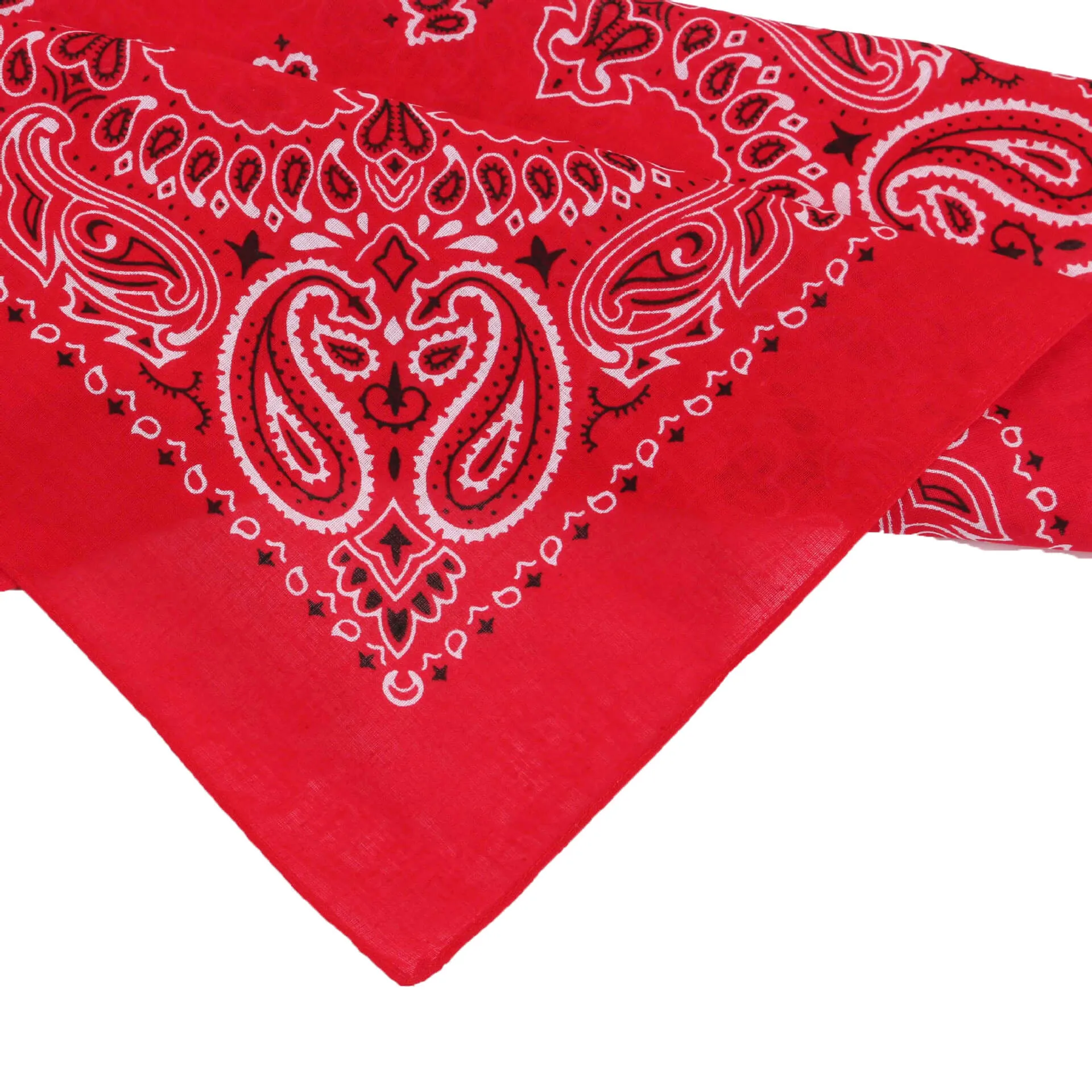 12 Piece Novelty Bandanas Paisley 100% Cotton Hearwear (22 inches x 22 inches)