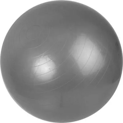 Blow Up Silver Stability Exercise Yoga Workout Exercising Fitness Pilates Ball