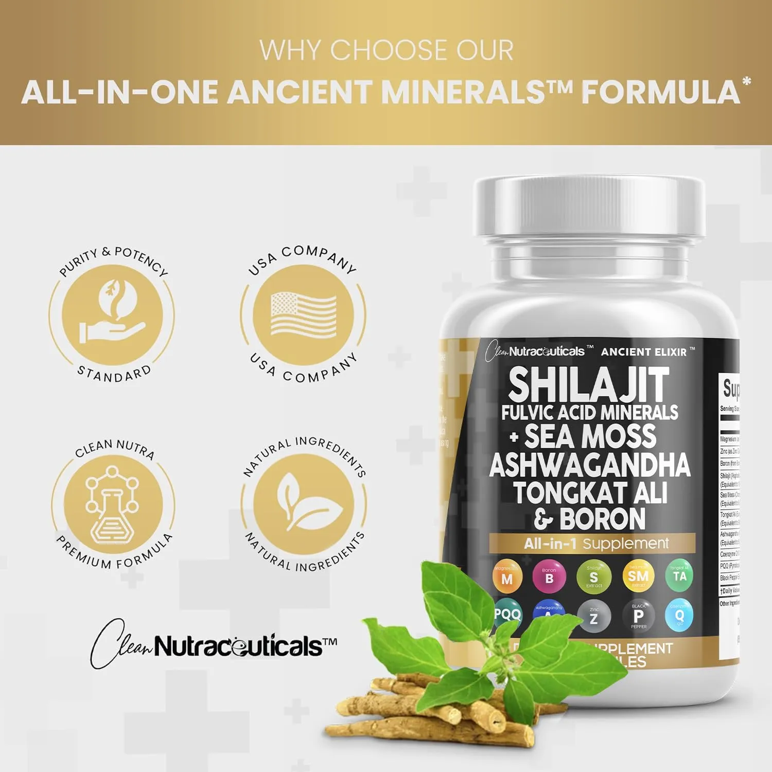 Clean Nutraceuticals Shilajit Supplement 90 Count