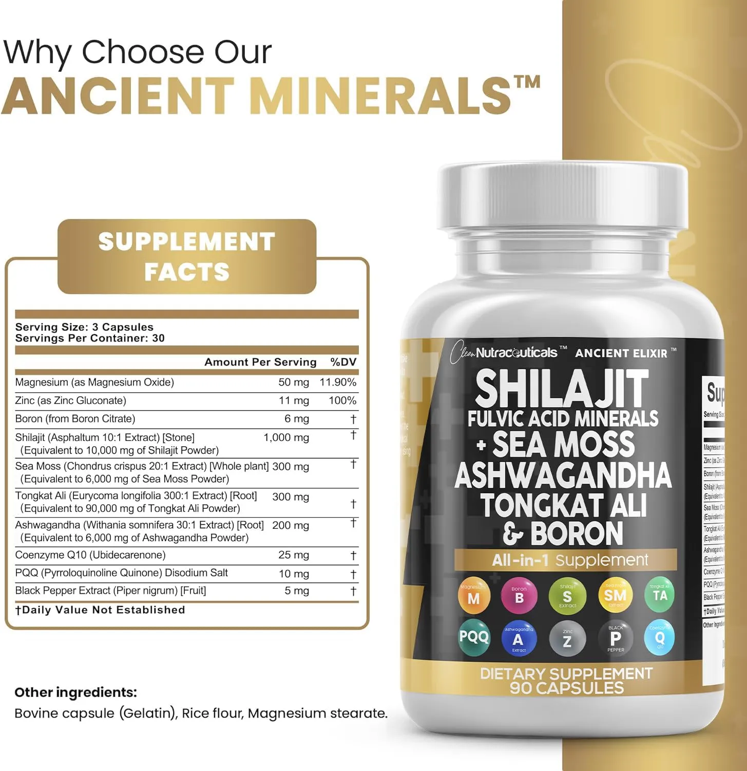 Clean Nutraceuticals Shilajit Supplement 90 Count