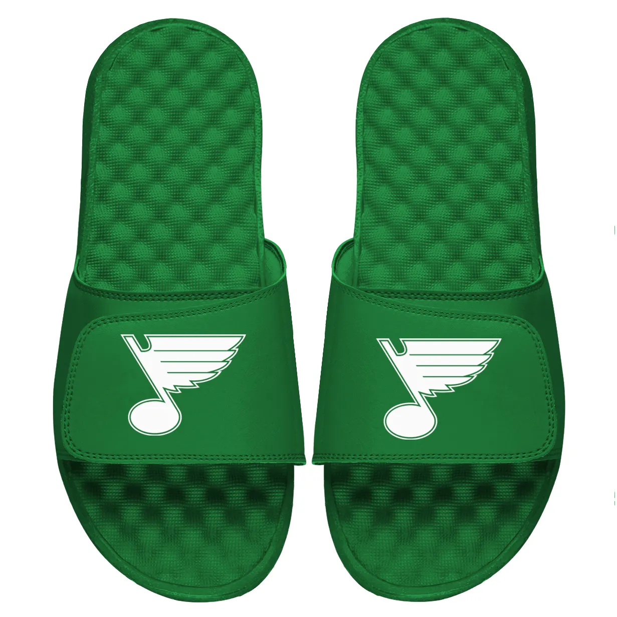 STL Blues Whiteout Slides