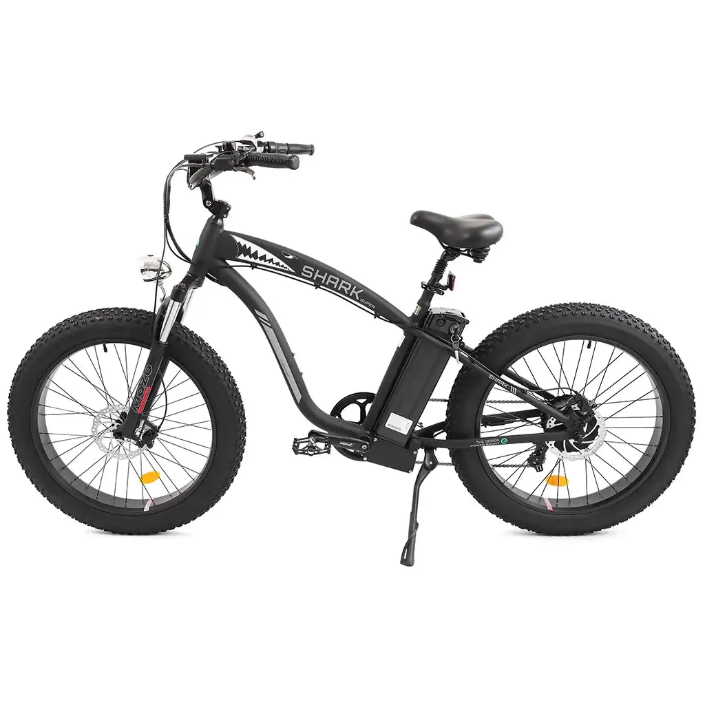 UL Certified Ecotric Hammer 48V 750W Beach Snow  Fat Tire Electric Bike