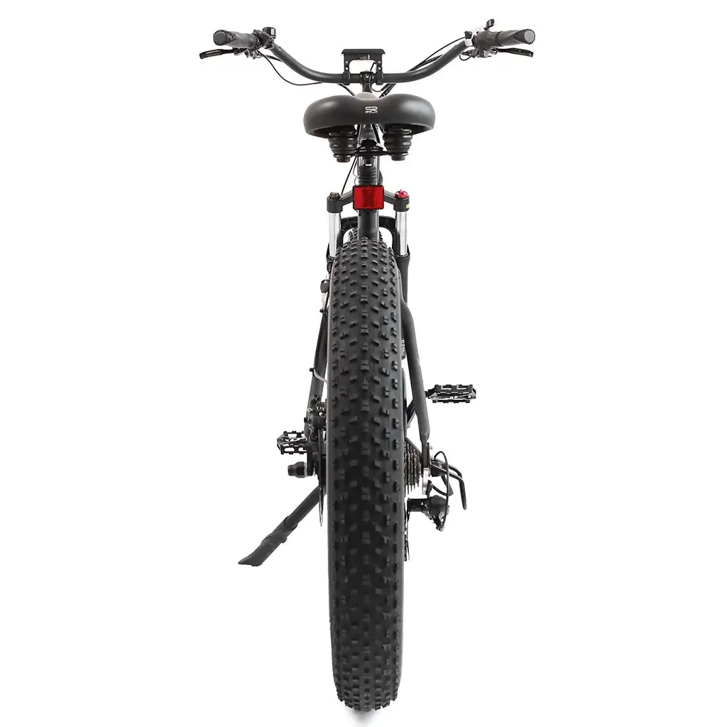 UL Certified Ecotric Hammer 48V 750W Beach Snow  Fat Tire Electric Bike